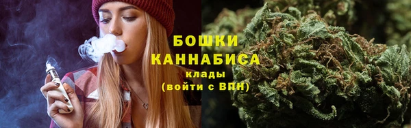 мдпв Осташков